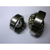 Rolling Mill Bearing Nu219 with Brass Cage M Nu Nj Nup Nnu N220 Roller Bearing